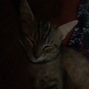 Meet your Posher, Jenna